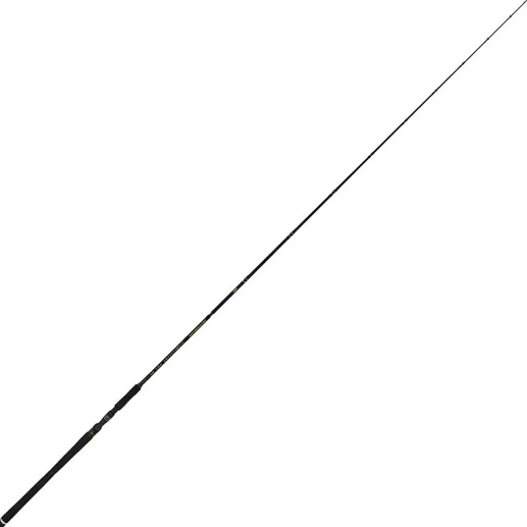 Canne Casting Illex The Artist X5 B 250 Xh Notorious Pike