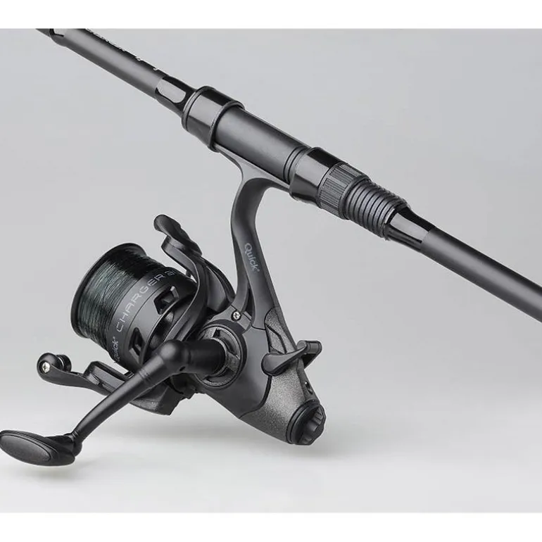 Ensemble Carpe Dam Charger Carp 10Fs Combo