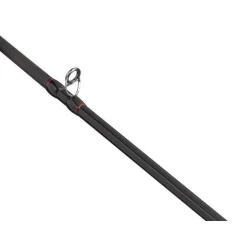 Ensemble Casting Abu Garcia Max Lp Pike Combo