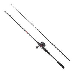Ensemble Casting Abu Garcia Max Lp Pike Combo