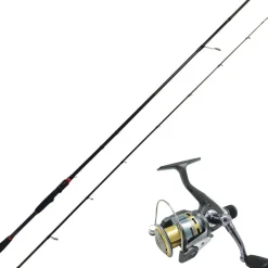 Ensemble Spinning Autain Azanori + Xcf