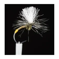Mouche Chiro Jmc Dc150 Bl